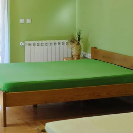 Danka S Vrnjacka Banja