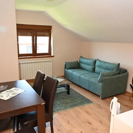 Danka S Apartment *