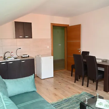 Apartment Danka S Vrnjacka Banja