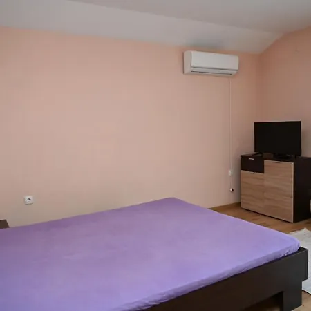 Danka S Vrnjacka Banja